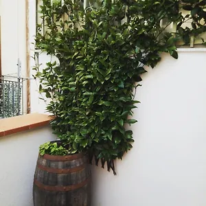 Il Terrazzino Sul Kemonia Palermo